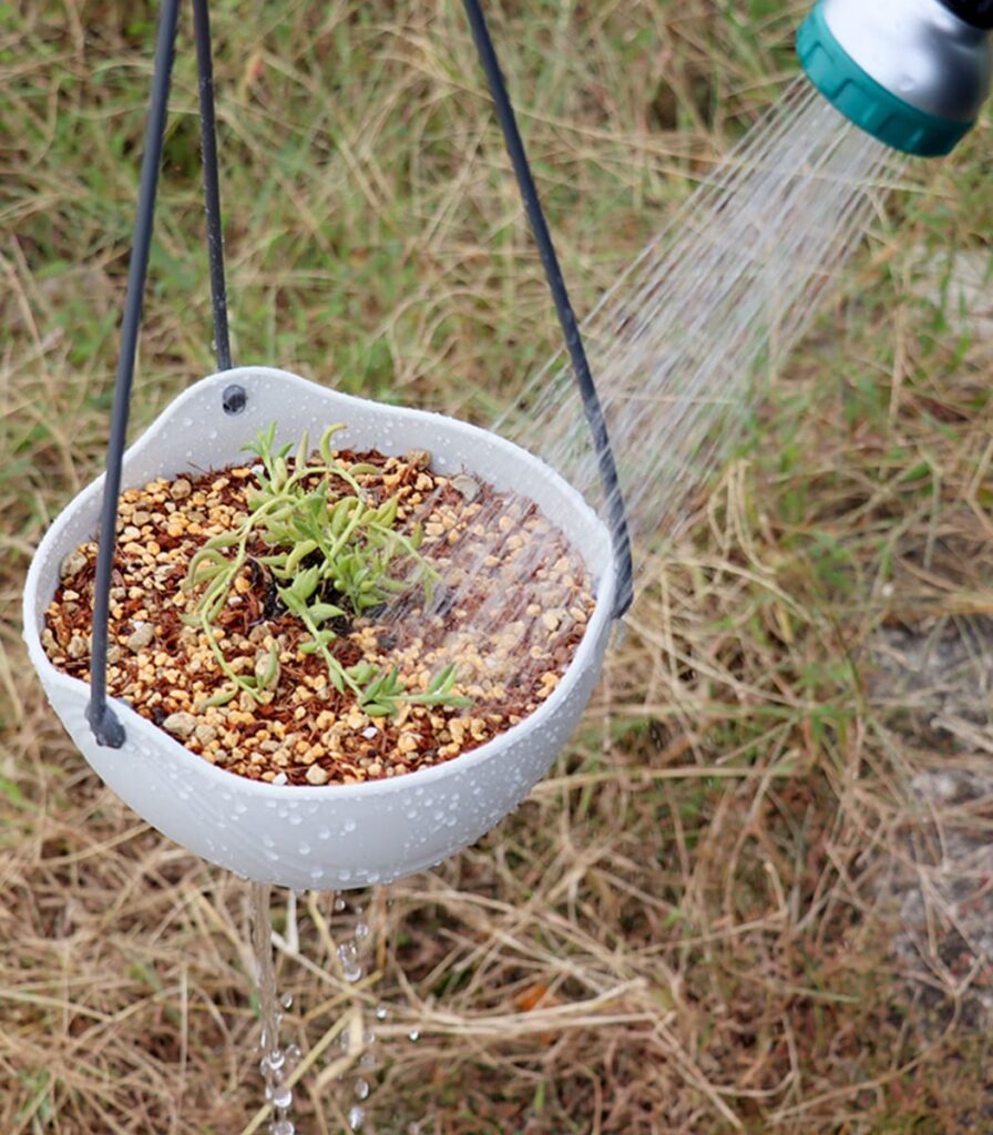 植物に水を与えている様子